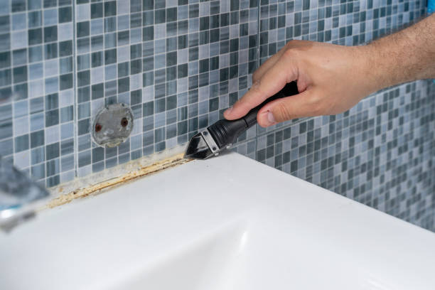 Best Mold Remediation for Specific Building Types in Edmundson, MO