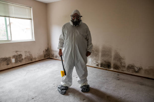 Best HVAC Mold Remediation in Edmundson, MO